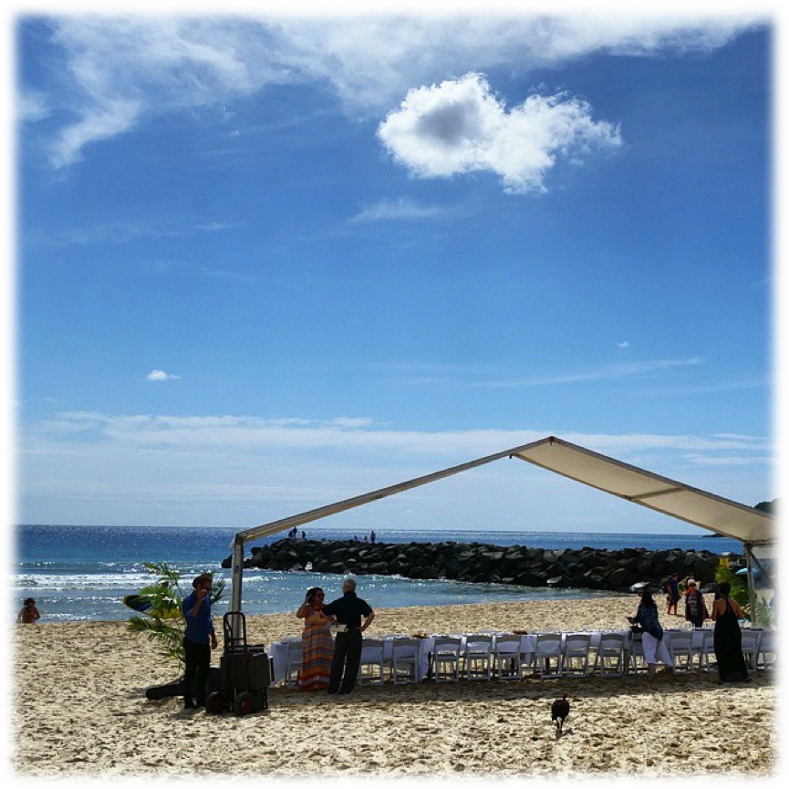 beachwedding.png
