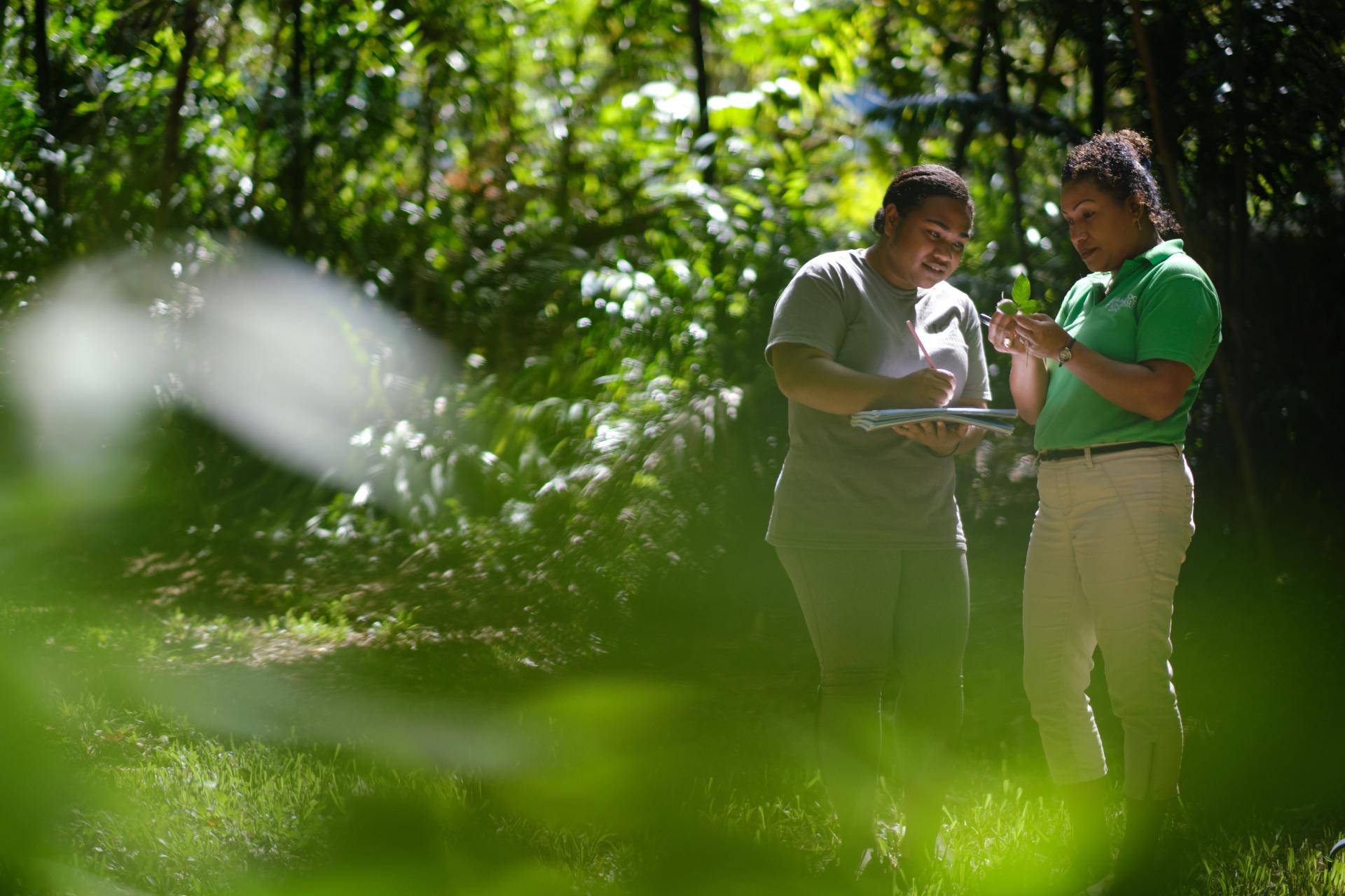 Two students studying native flora in Cairns, Queensland.
